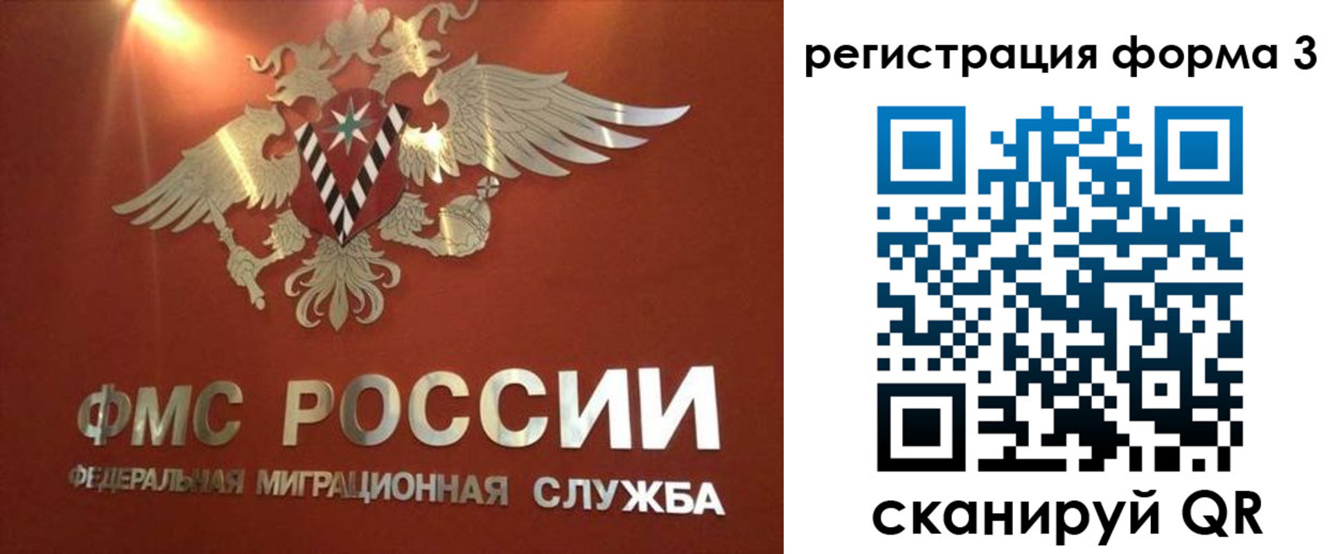 прописка в квартире в Звенигово